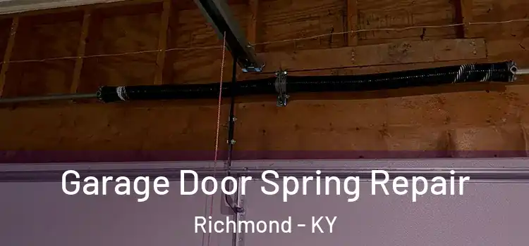  Garage Door Spring Repair Richmond - KY